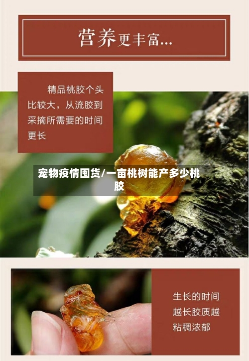 宠物疫情囤货/一亩桃树能产多少桃胶-第3张图片