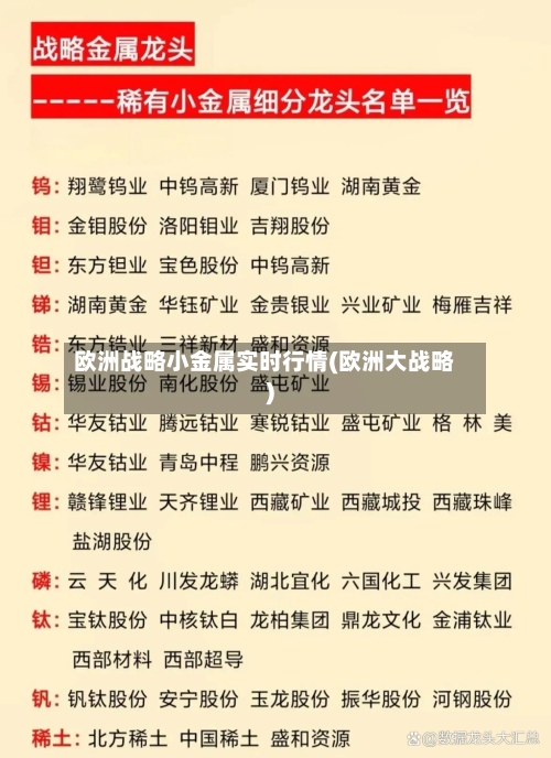 欧洲战略小金属实时行情(欧洲大战略)