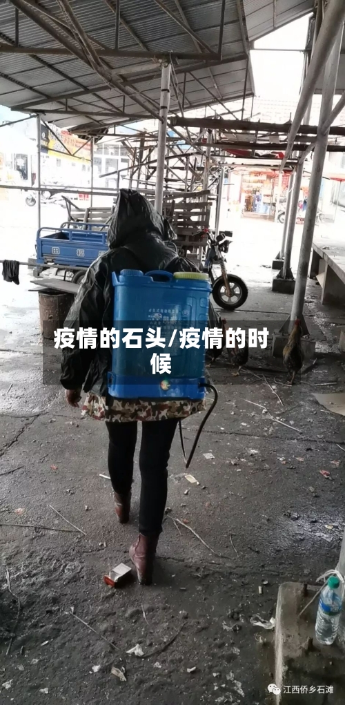 疫情的石头/疫情的时候-第3张图片
