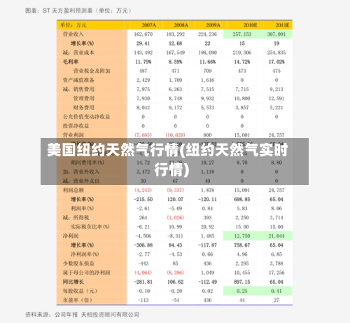 美国纽约天然气行情(纽约天然气实时行情)-第3张图片
