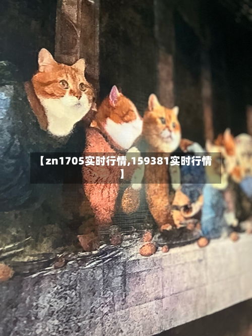 【zn1705实时行情,159381实时行情】