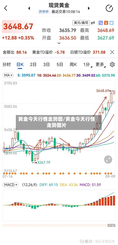 黄金今天行情走势图/黄金今天行情走势图片-第2张图片