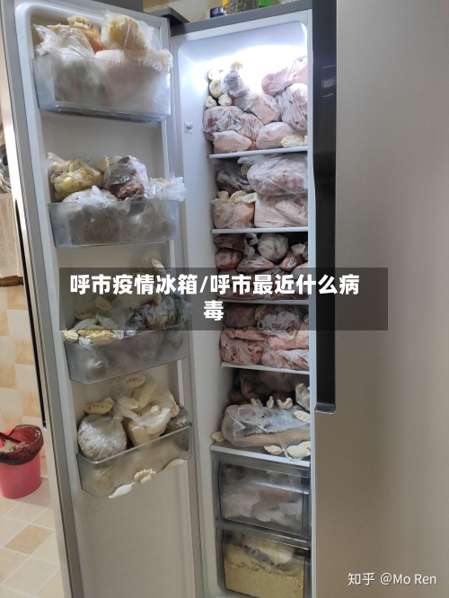呼市疫情冰箱/呼市最近什么病毒-第3张图片