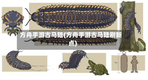 方舟手游古马陆(方舟手游古马陆刷新点)-第3张图片