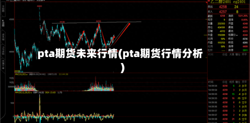 pta期货未来行情(pta期货行情分析)