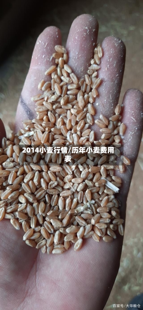 2014小麦行情/历年小麦费用表-第2张图片