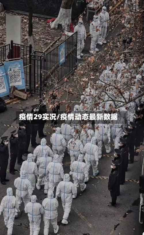 疫情29实况/疫情动态最新数据-第2张图片