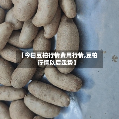 【今日豆柏行情费用行情,豆柏行情以后走势】